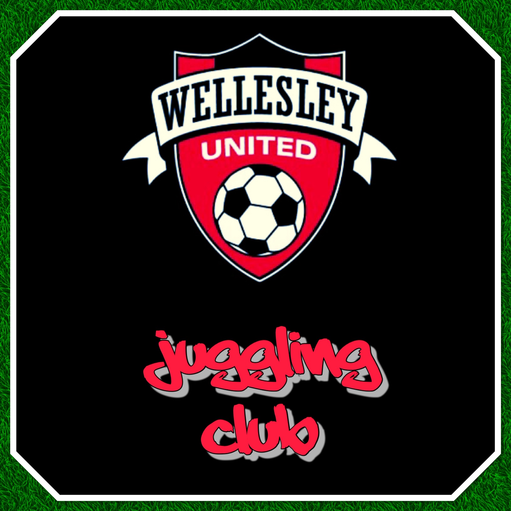 Wellesley United Juggling Club